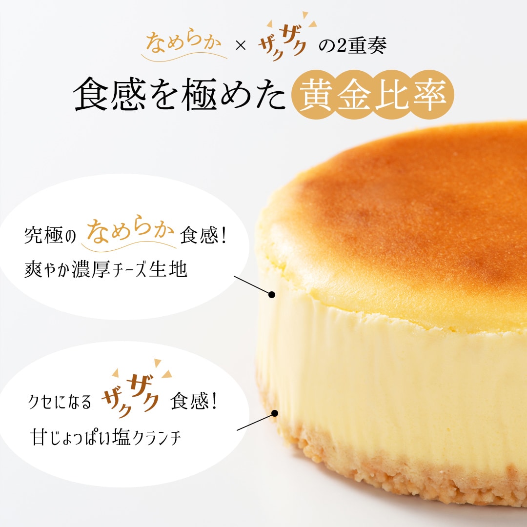 糸島チーズケーキ4号