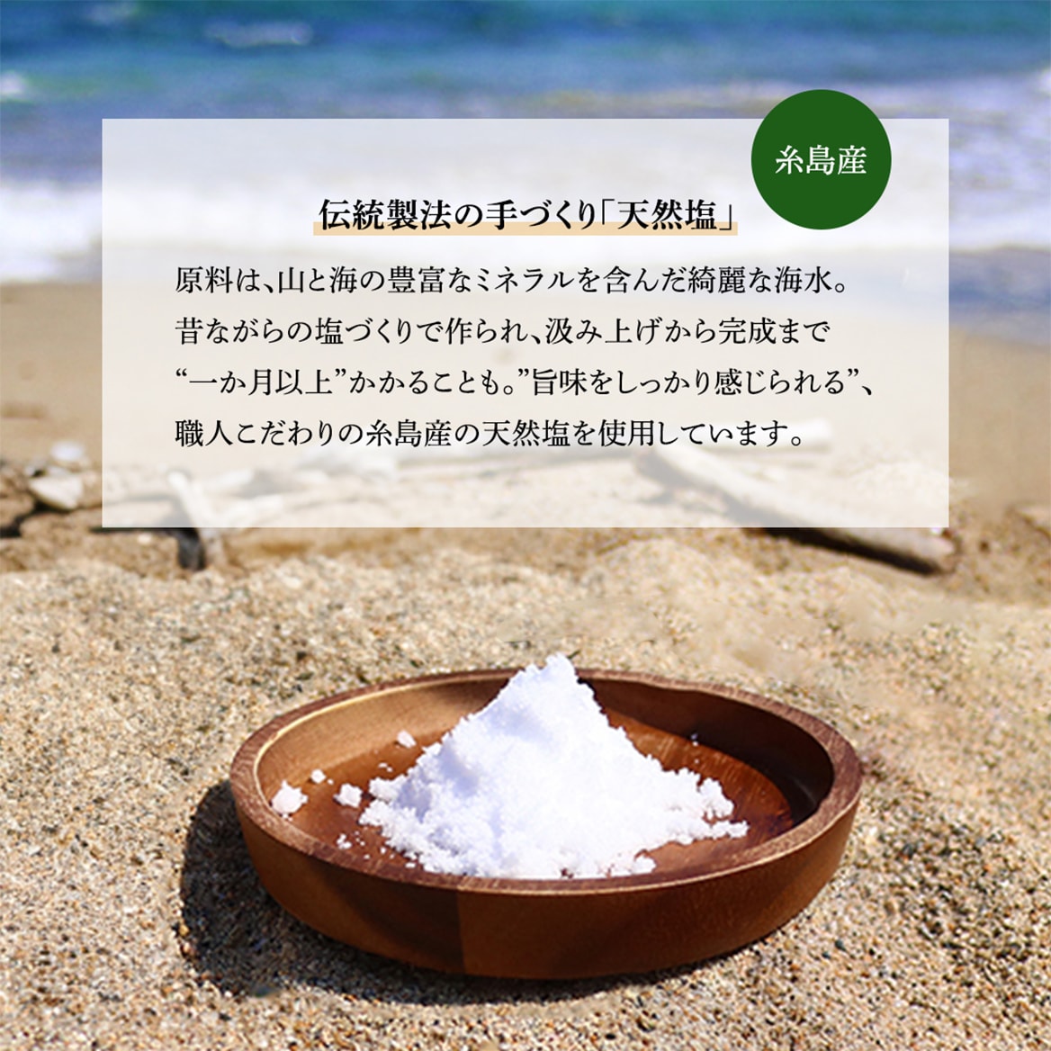 糸島チーズケーキ4号