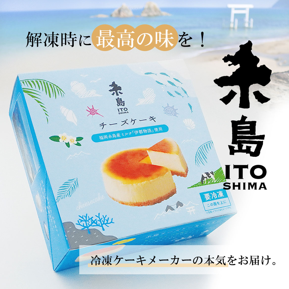 糸島チーズケーキ4号
