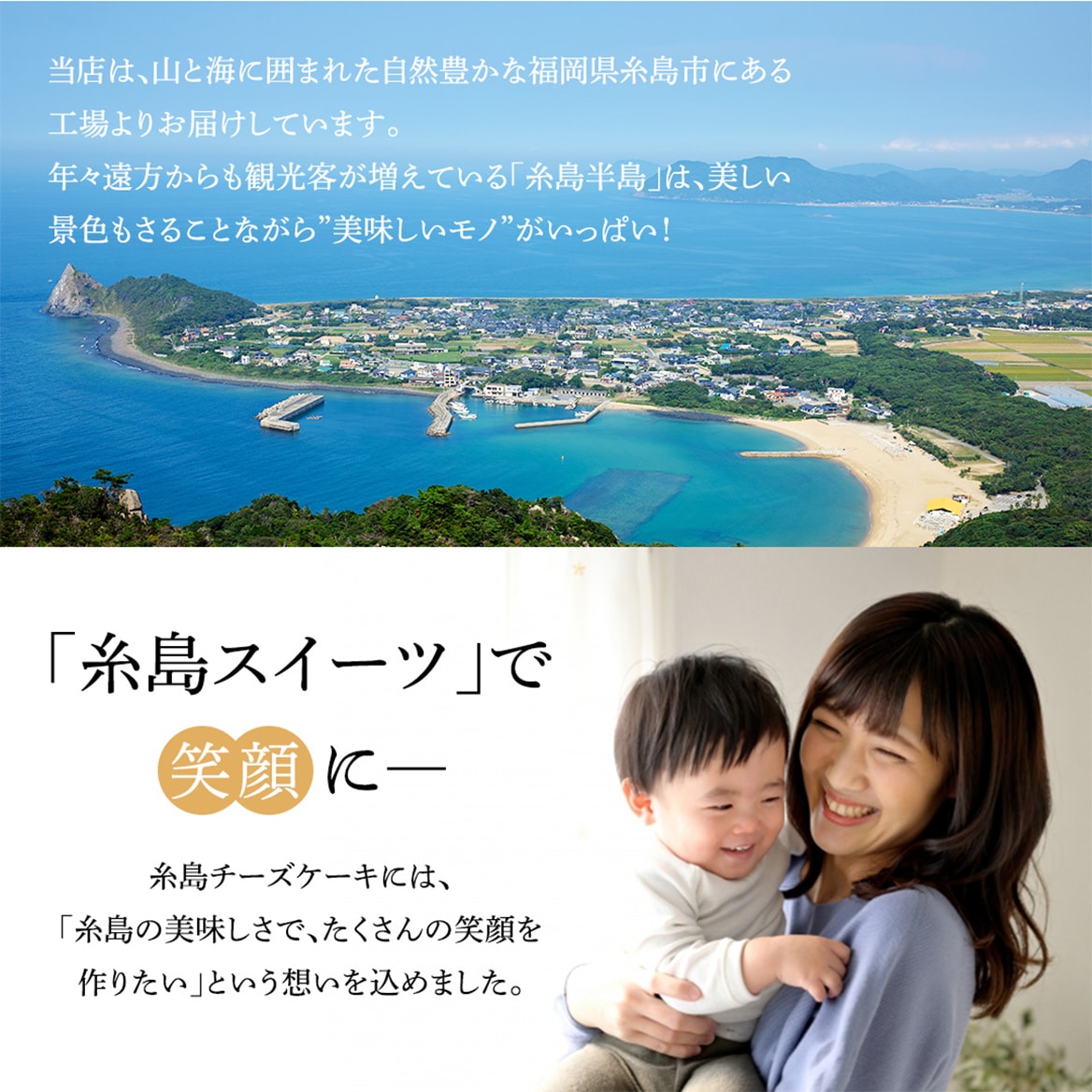糸島チーズケーキ4号