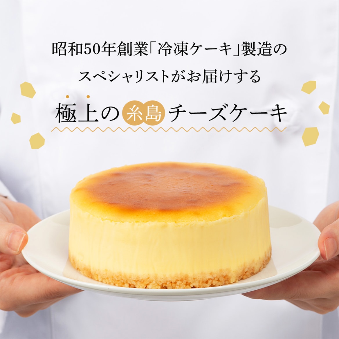 糸島チーズケーキ4号