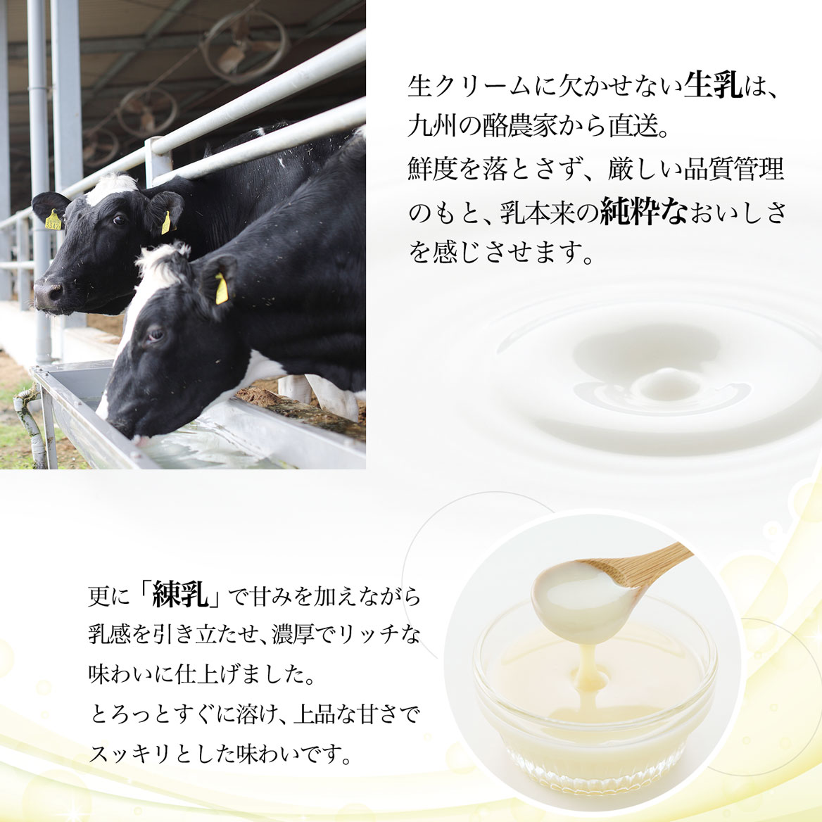 PREMIUM BIYORI -プレミアム苺ショートケーキ5号-