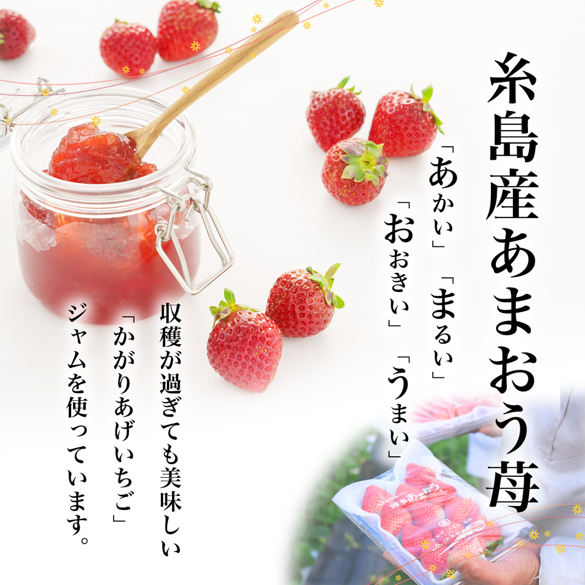 糸島あまおうロールケーキ