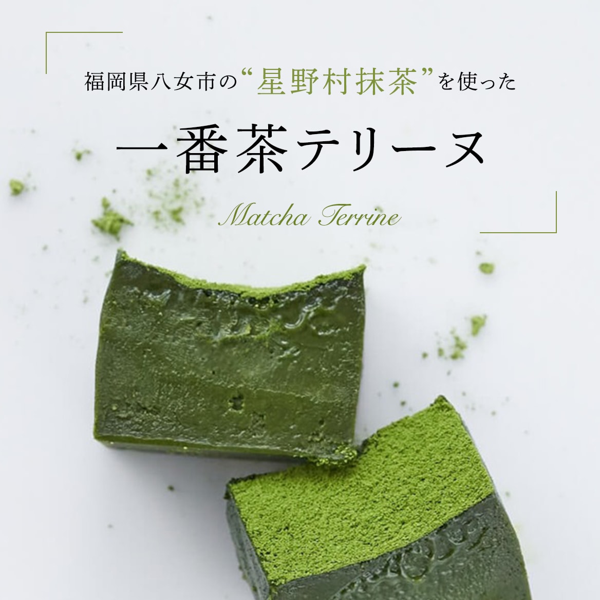 一番茶テリーヌ