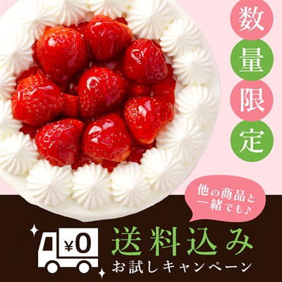 【数量限定＆送料込みお試し】PREMIUM BIYORI  -プレミアム苺ショートケーキ5号-