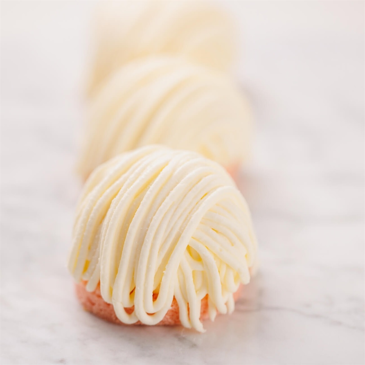 モンブラン　ルブラン161  ケース付き 楽天市場】【送料無料】銀座ル・ブランの『モンブラン』5号